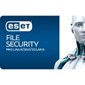 Obrázek ESET Server Security pro Linux; obnovení licence; počet licencí 1; platnost 1 rok